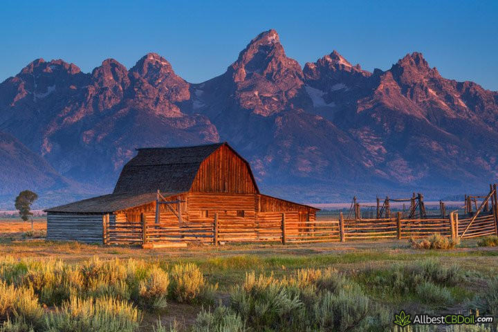 CBD oil Wyoming: Wyoming state. 